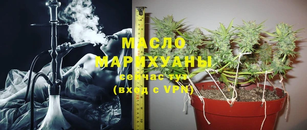 амф Ладушкин