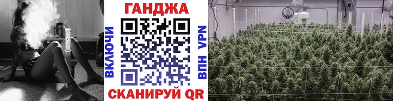 KRAKEN маркетплейс  купить наркотики сайты  Каргат  Марихуана Ganja 